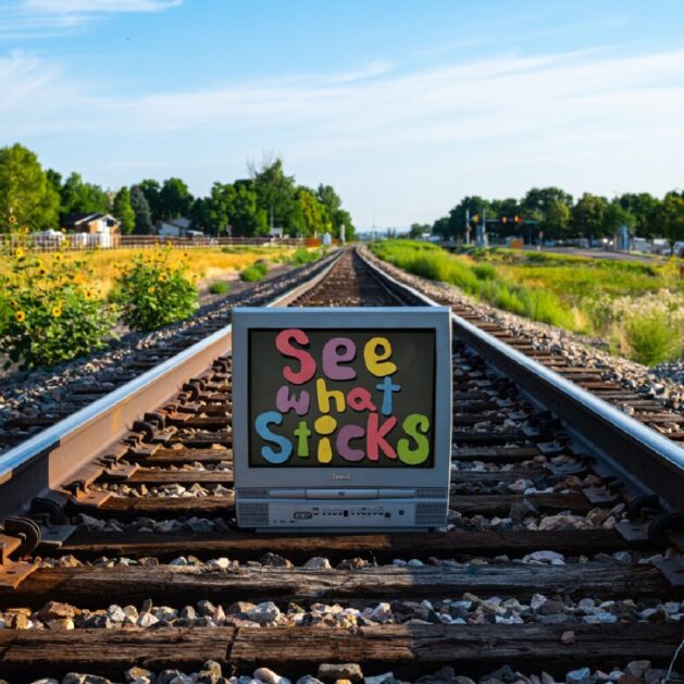 See what sticks album cover